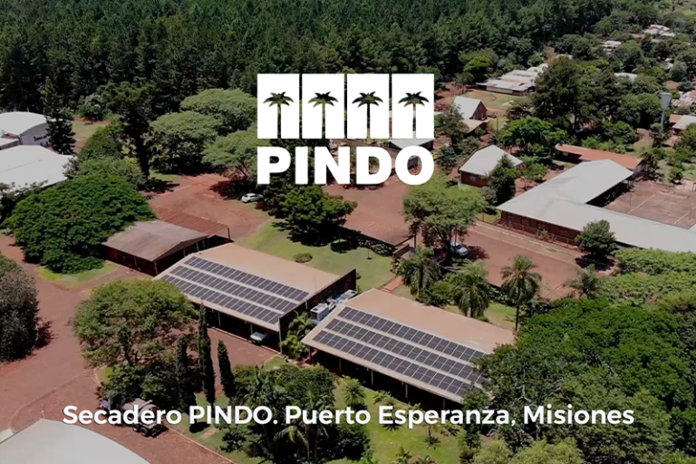 Pindo PuertoEsperanza 04 768x512